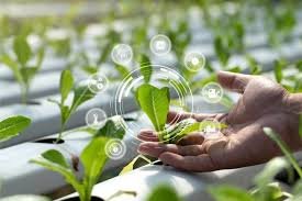 शेती मध्ये 10 उदयोन्मुख नवकल्पना 2025