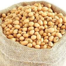 Soybean Varieties : भारतासाठी प्रसारित वैशिष्ट्यपूर्ण सोयाबीन वाण