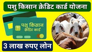 Pashu Kisan Credit Card पशु किसान क्रेडिट कार्ड
