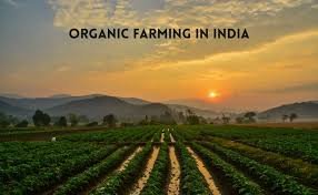 Organic Farming : सेंद्रिय शेतीची माहिती आणि फायदे २०२५
