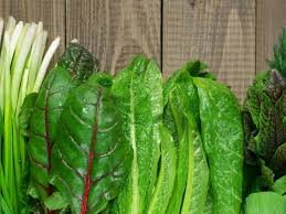 6 Rainy Season Vegetable|६ पावसाळी भाज्या