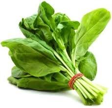 6 Rainy Season Vegetable|६ पावसाळी भाज्या