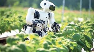 Robotic Weeders|तण नियंत्रणासाठी यंत्रमानव 2025