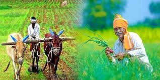 कृषी दिनविशेष|बळीराजाच्या समृद्धीचा नवा ध्यास 2025 