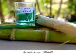 Ethanol Policy|इथेनॉल धोरणामुळे साखर उद्योगाची कोंडी